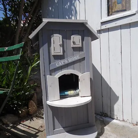 Key West Holiday House *